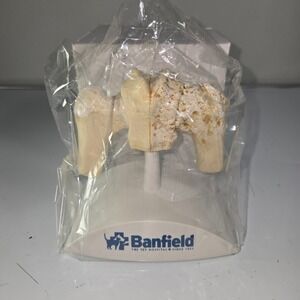 Banfield Pet Canine Hip Joint Model Displasia Arthritis‎ Educational Tool